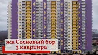 жк Сосновый бор | 3 комнатная квартира с ремонтом