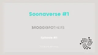 What is the Soonaverse and what can I do with it? 
