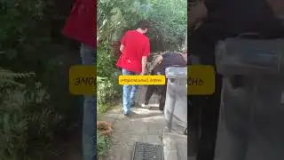 побила, я её тоже побил