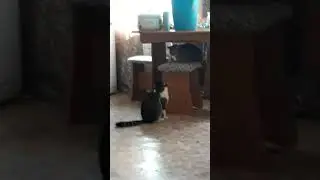 #Смешные