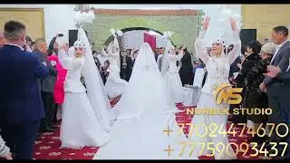 №1 очень красивый беташар |#2022|