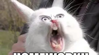 Homework Haters