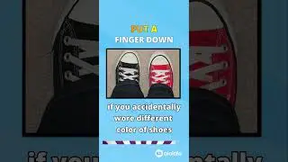 Put A Finger Down SCHOOL EDITION