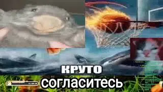 Rabilis попросил не вырезать, но было слишком поздно.....
