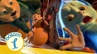 CİNGİLİKLER 1. Bölüm Çizgi Film İzle (Tek Parça) - Spor Bedik'in en iyi arkadaşı!