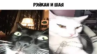 Коротко о Лиге Легенд