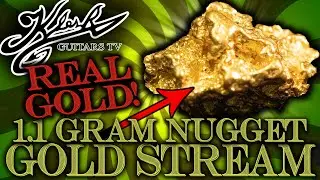 🔴 GOLD STREAM #230 - 1.1 GRAM GOLD NUGGET! FUN INCLUDED!