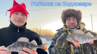 ВОДЛОЗЕРО / НА ЧТО КЛЮЁТ ОКУНЬ  / КУДА ЕХАТЬ НА РЫБАЛКУ И КАК ЛОВЛЮ Я САМ !