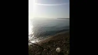 Köpeğim Chucky ile denizde levrek avındayız🙏🤍