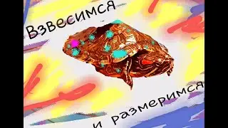 Взвешивание и обмер черепах