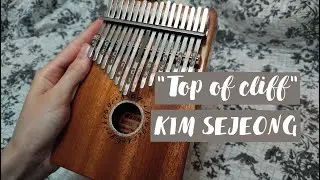" Top of Cliff "  KIM SEJEONG ||| Ellin Kalimba cover with tabs