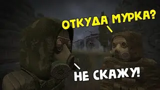 КАК ПОЛУЧИТЬ МУРКУ ЯНА [STALCRAFT] МОНТАЖ