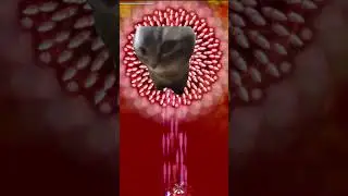 ZUN - Dubidubidu