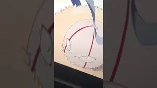 Basket ball with eyes