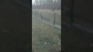 Добрался до местного парка, вроде как везде, если бы не  одно НО...