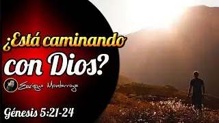 ¿Está caminando con Dios?