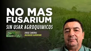 Testimonio de Jorge Cadenas