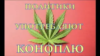 Политики употребляют коноплю.