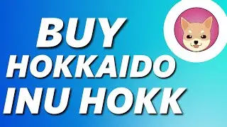 How to Buy Hokkaido Inu Hokk on Uniswap (Tutorial)
