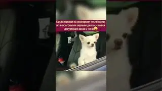 Дегустация вин в Абхазии