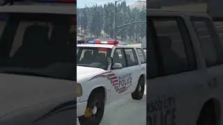 Belasco PD: On Patrol | BeamNG-FUN 