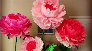 Ростовые цветы. Ответ на вопросы.