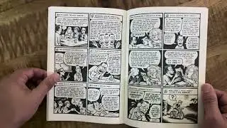 Peep Show #15 by Joe Matt (RIP)