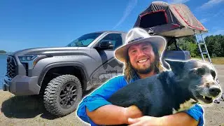48 Hours TRUCK CAMPING (Small River Fishing & Foraging)