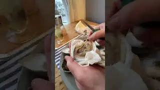 Shucking oyster #asmr