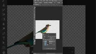 photoshop 2020 tutorials for beginners 