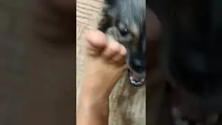 КУДА ЕЁ ЗАНЕСЛО? 