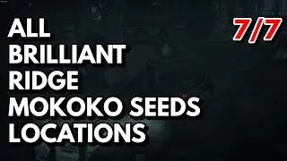 All Brilliant Ridge Mokoko Seeds Locations | Lost Ark