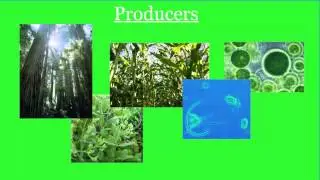 Producers and Consumers