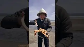 Камчатский краб за 350₽
