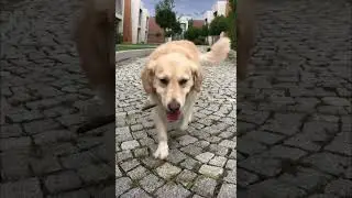 Dünyayı Yedik ekibi geliyor😃