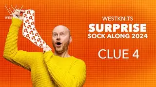CLUE 4 - Color Popportunity Socks
