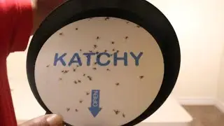 Katchy Indoor Insect Trap Review With UV Light, Fan And Sticky Glue Board #katchy #flytrap