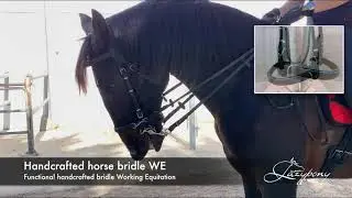 Lazypony Handcrafted horse bridle WE