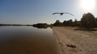 Hello Seagull (Einfelder See long version)