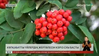 Петропавлда көпқабатты үйлердің жертөлесін кәріз суы басты