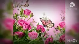 Әниләр көненә матур котлау. Татарча Әниләр көненә матур котлау.