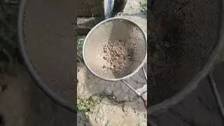 Вскрывает водонос в кондукторе