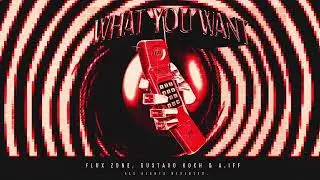 Flux Zone, Gustavo Koch & A.IFF - What You Want