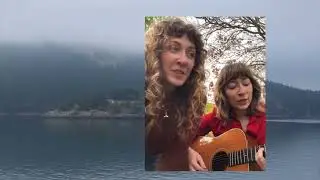 Don't Go Back (Marlon Williams Cover)