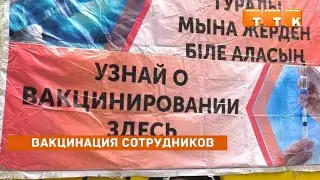 Вакцинация сотрудников