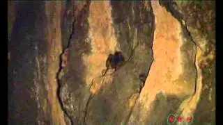 Simien National Park (UNESCO/NHK)
