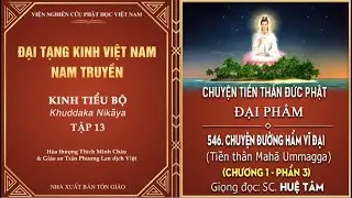 ĐẠI TẠNG KINH - ĐẠI PHẨM - CHUYỆN ĐƯỜNG HẦM VĨ ĐẠI(Tiền thân Mahā Ummagga) (CHƯƠNG 1 - PHẦN 3)