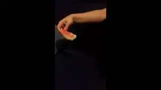 кошка вегетарианка!!!не надо мяса дай арбуз!!!