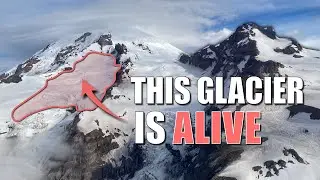 Millions of Ice Worms Emerge From This Glacier Every Day
