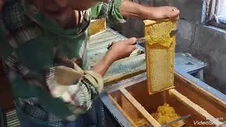 И снова качаем мёд!!!